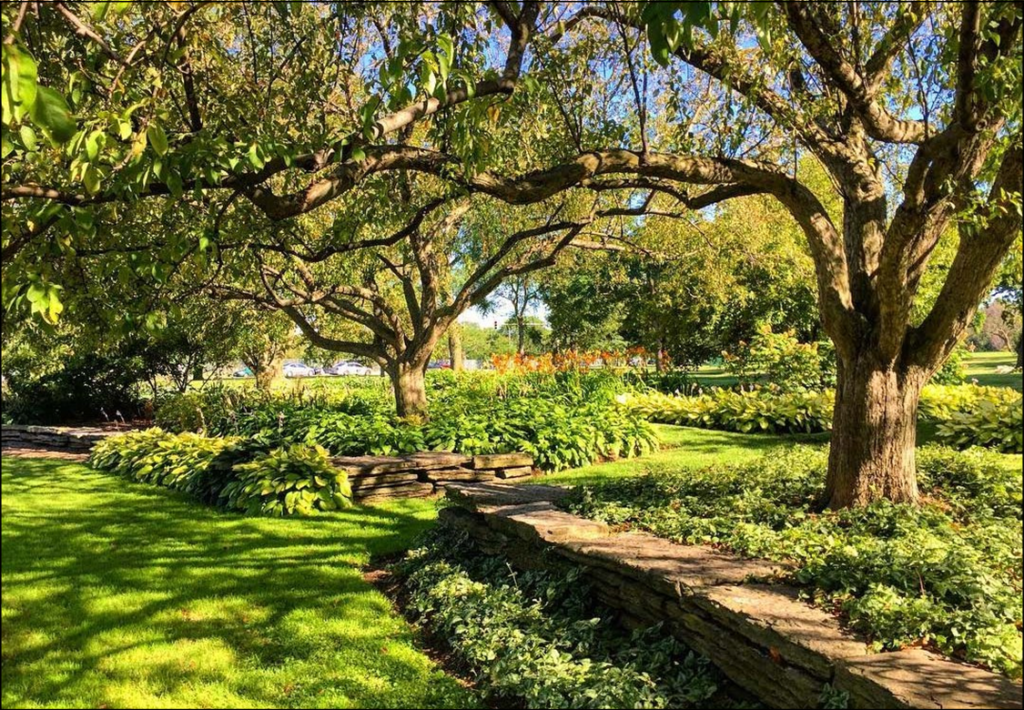 Jackson Park Woman’s Garden by May McAdams in 1937 © Eric Allix Rogers