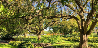Jackson Park, South Shore Cultural Center & Midway Plaisance – 2019 Most Endangered