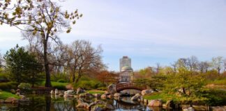 Obama Presidential Center to Receive Federal Review