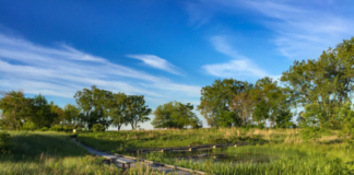 Why Save the South Shore Sanctuary? A Photo Essay by Eric Allix Rogers/Chicago Patterns