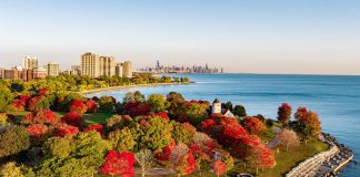OP-ED: Save the Point, Make it a Chicago City Landmark (Chicago 7 2022)