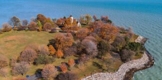 WIN: Promontory Point Conservancy Will Hold Six Public Meetings to Refine Preservation-Oriented Designs for Promontory Point (Chicago 7 2022)