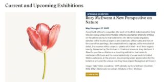 Driehaus Museum presents “Rory McEwen: A New Perspective on Nature” May 16, 2025 to August 17, 2025