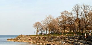 Chicago Tribune: From Promontory Point to the Lily Pool in Lincoln Park, have you visited the creations of Alfred Caldwell?