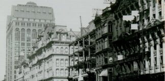 The Skyscraper and The White City: The Genius and the Tragedy of John Wellborn Root by Gerald R. Larson